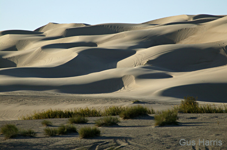 be Sand Dunes--DC1T1408