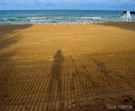 caa-Gus Bicycle Shadows_1412