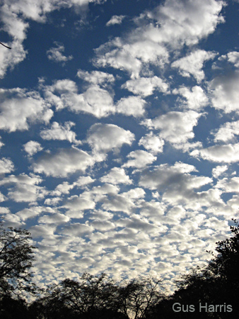 cf--Clouds Evanston_1539