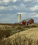 af Barn Silo Cornfield 0305