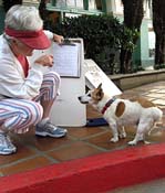 deJackRussellReading_2119