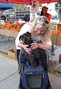 dhDogFarmersMarket_8265