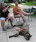 djDogLyingonSidewalk_0315