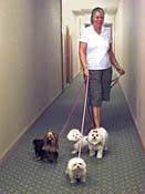 doLinda and four dogs_6814