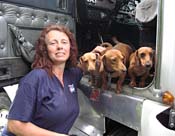 dtWomanTruckDachshunds_5266