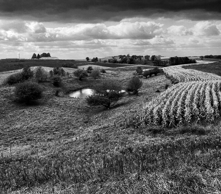 Corn Field Pond 2005