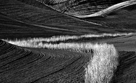 Palouse Grooves 2003