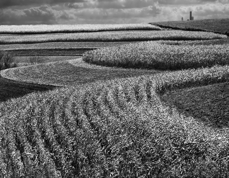 Wisconsin Corn Field Three 2003