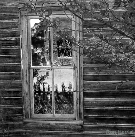 AF Bannack Window Tree Reflections 2003