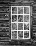 AX Bannack Window Two 2005