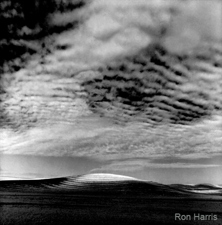 ARVBruneauDunes1996